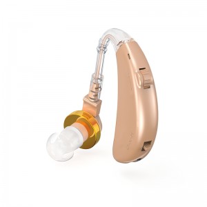 Great-Ears G23D digital rechargeable noise reduction low consumption economical cheap behind the ear hearing aids