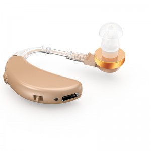 Great-Ears G23D digital rechargeable noise reduction low consumption economical cheap behind the ear hearing aids