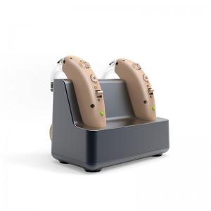 Leading Manufacturer for Bte Sound Amplifier Machine Buy Cheap Price Deaf Ear Rechargeable Hearing Aid for Deafness