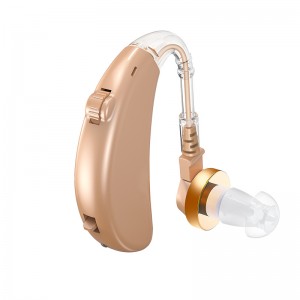 Great-Ears G23D digital rechargeable noise reduction low consumption economical cheap behind the ear hearing aids