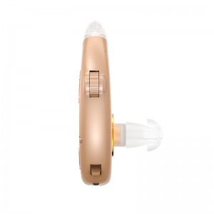 Great-Ears G23D digital rechargeable noise reduction low consumption economical cheap behind the ear hearing aids