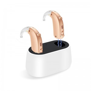 2019 Latest Design Factory Price Digital Mini Rechargeable Hearing Aid with Portable Charging Case Ear Hearing Aid with Bluetooth Connect