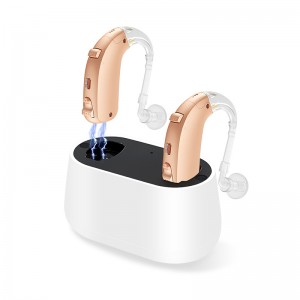 2019 Latest Design Factory Price Digital Mini Rechargeable Hearing Aid with Portable Charging Case Ear Hearing Aid with Bluetooth Connect