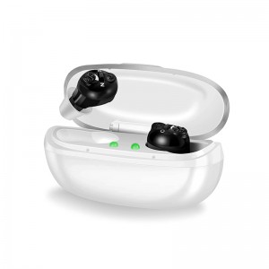 Great-Ears G17D magnetic charging rechargeable hot-selling TWS in ear small nini size low consumption hearing aids